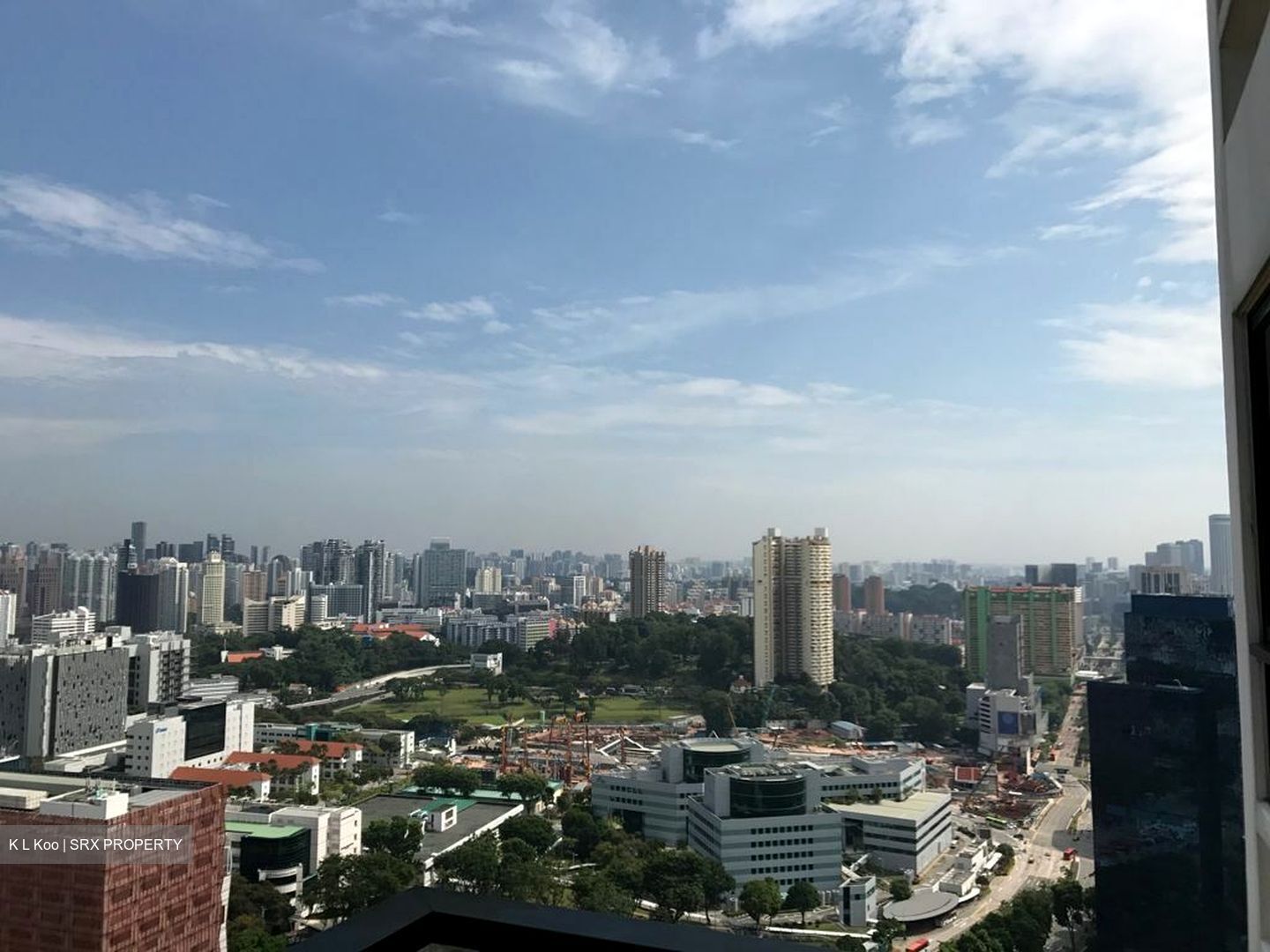 Spottiswoode Residences (D2), Condominium #587624741